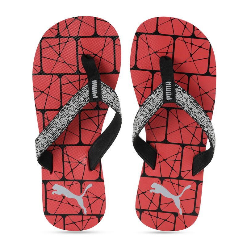 

PUMA Ferric Flip Flops