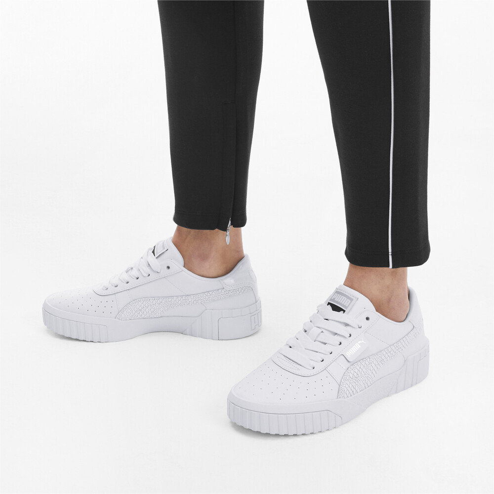 puma snake