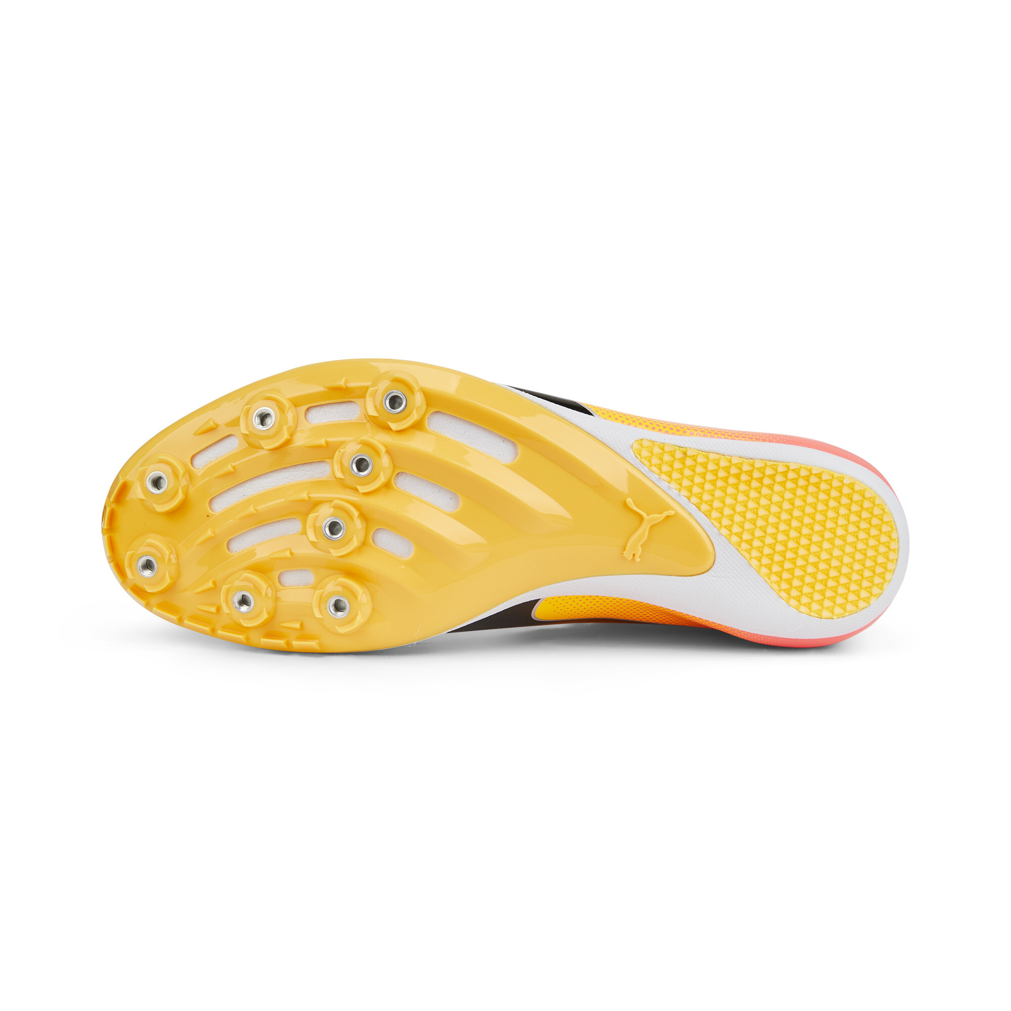 Zapatillas De Atletismo EvoSPEED Sprint 14