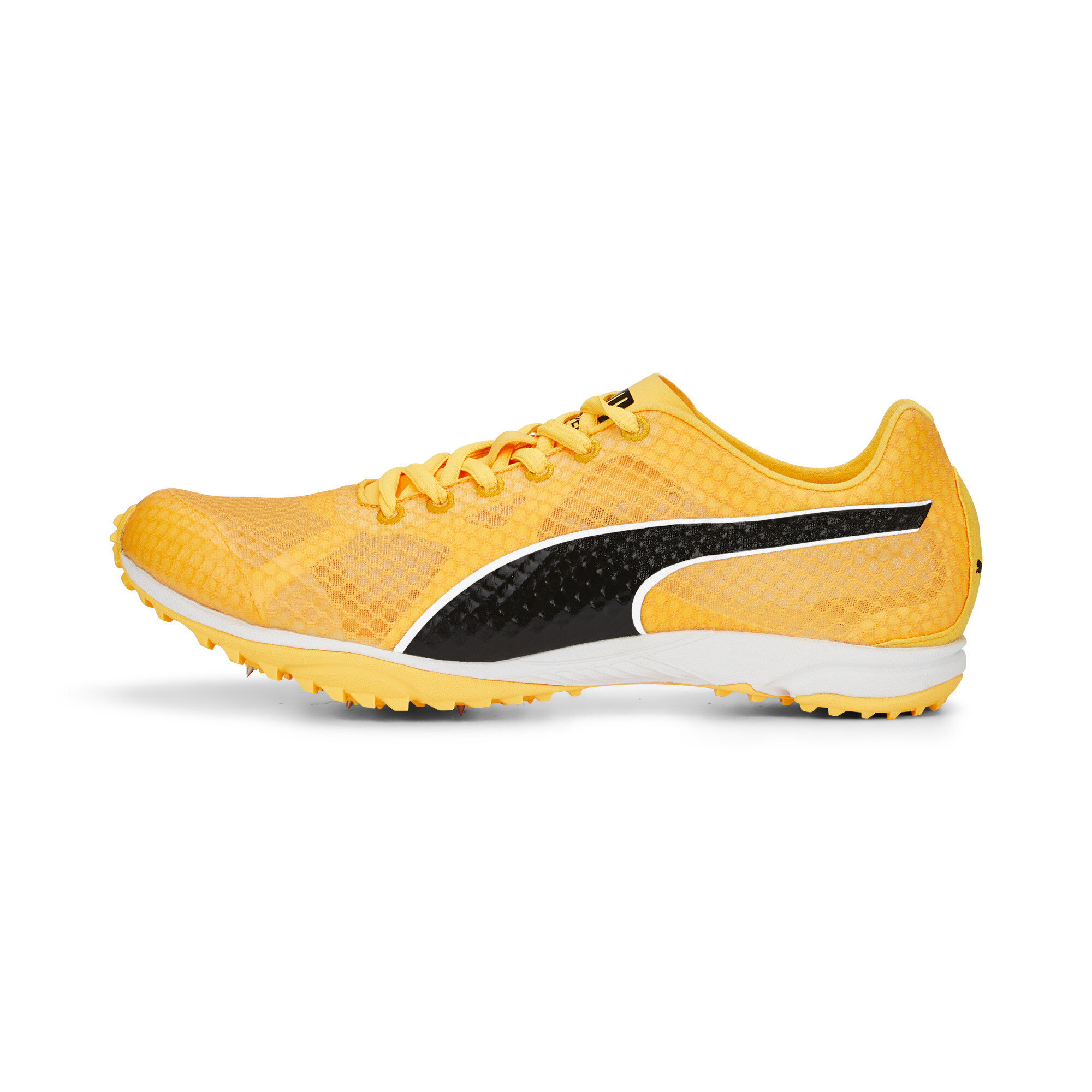 evoSPEED Haraka 7 Track and Field Shoes orange PUMA