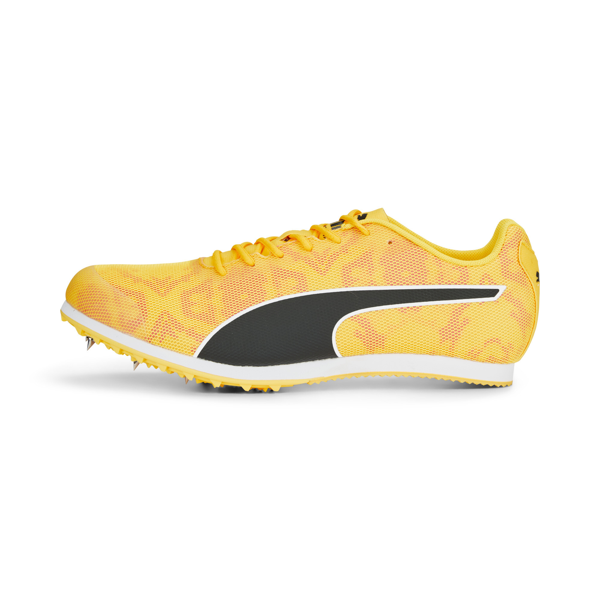 Pointes d'athlétisme evoSPEED Star 8