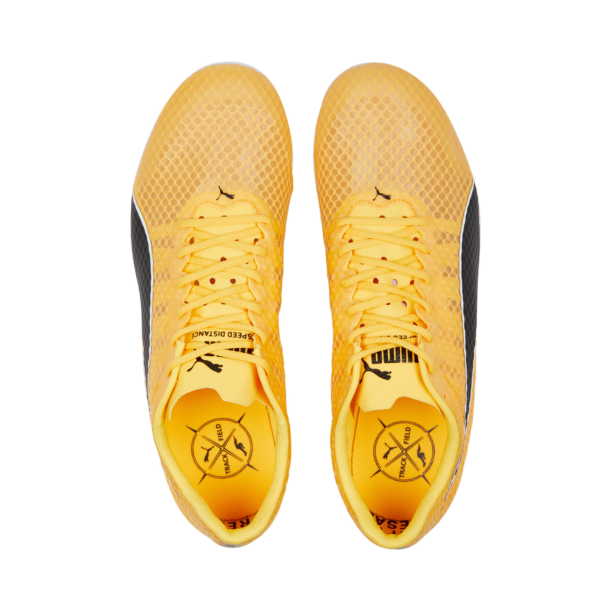 Puma evoSPEED Distance 11 Heren
