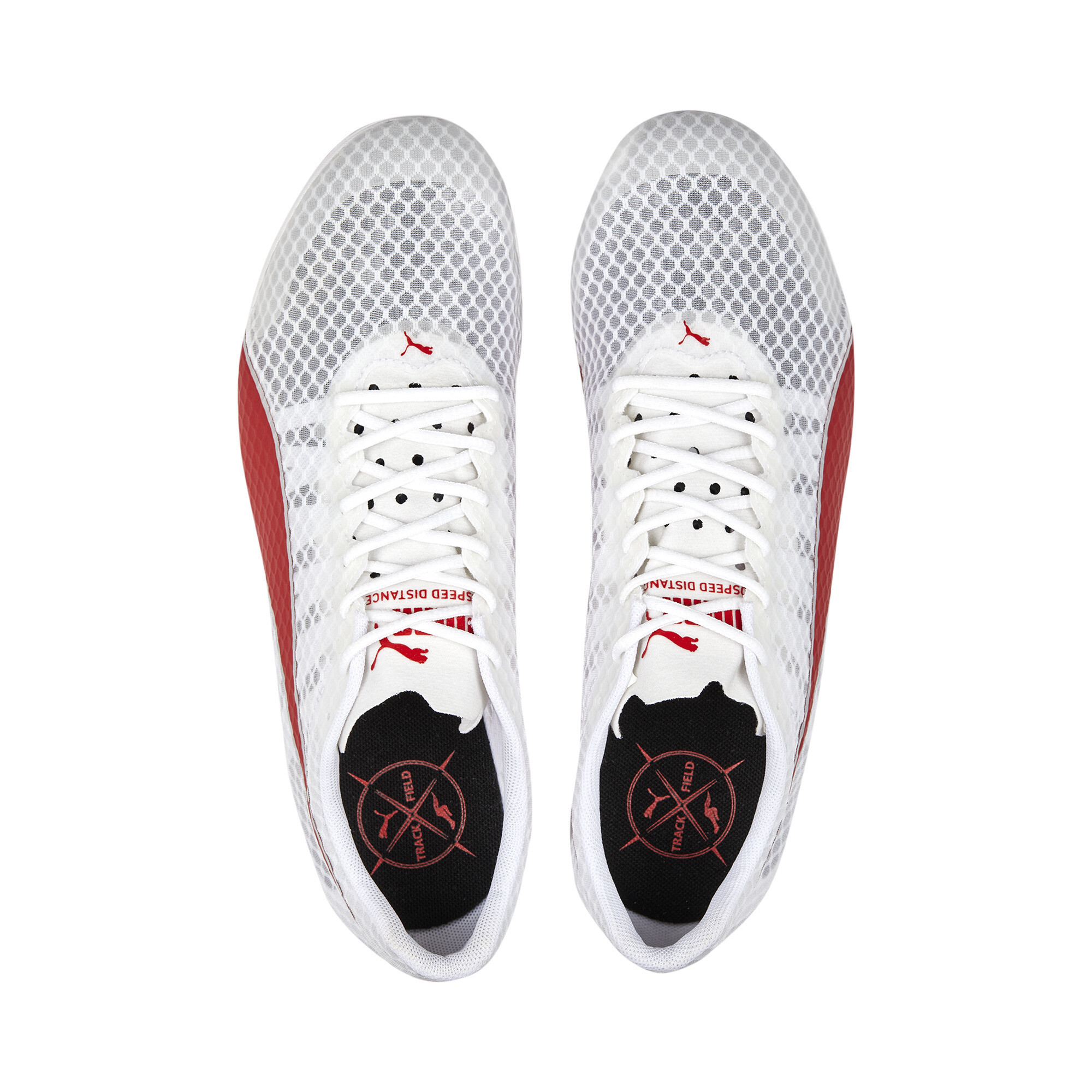 PUMA evoSPEED Distance 11 Heren