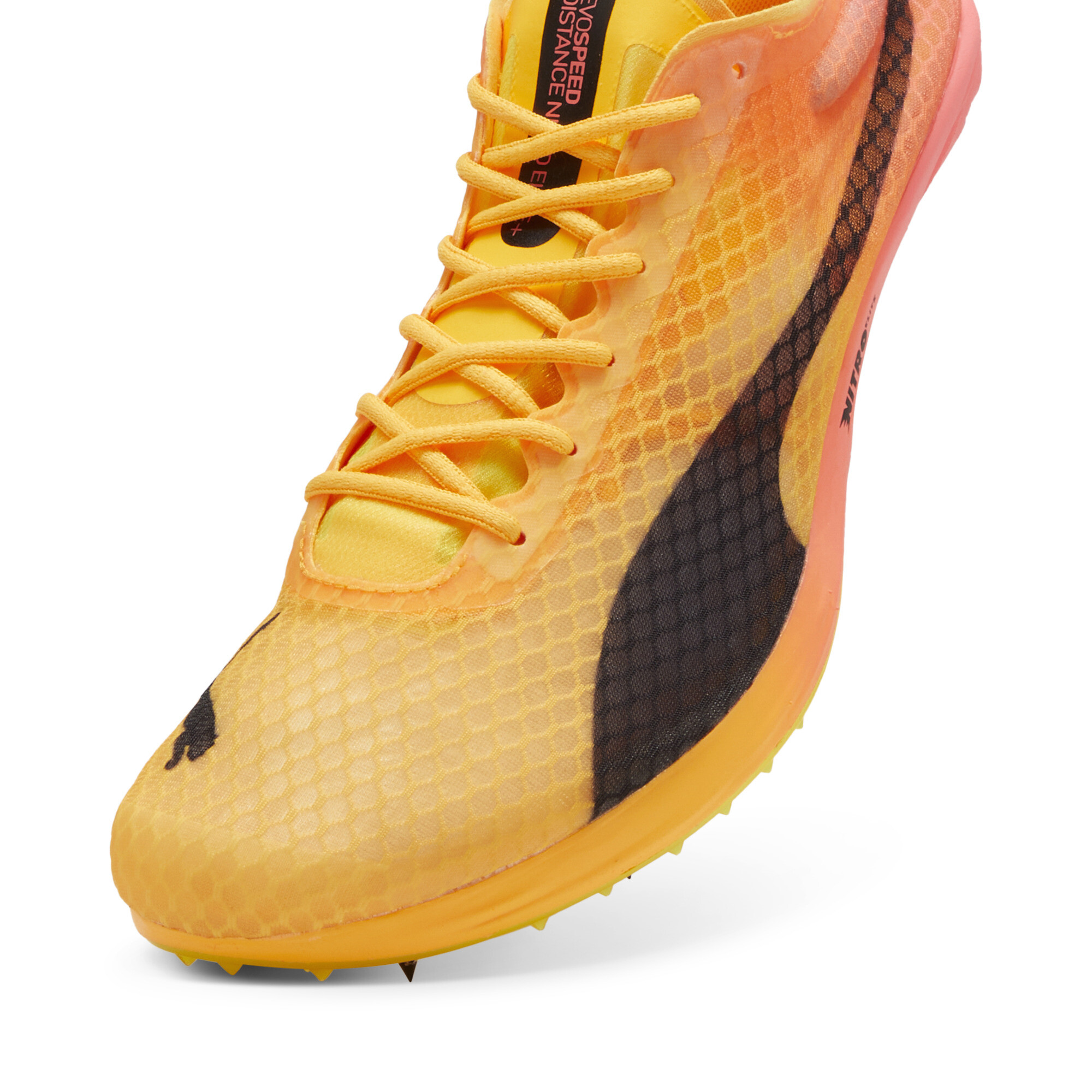 Puma evoSPEED Distance Nitro Elite+ 4