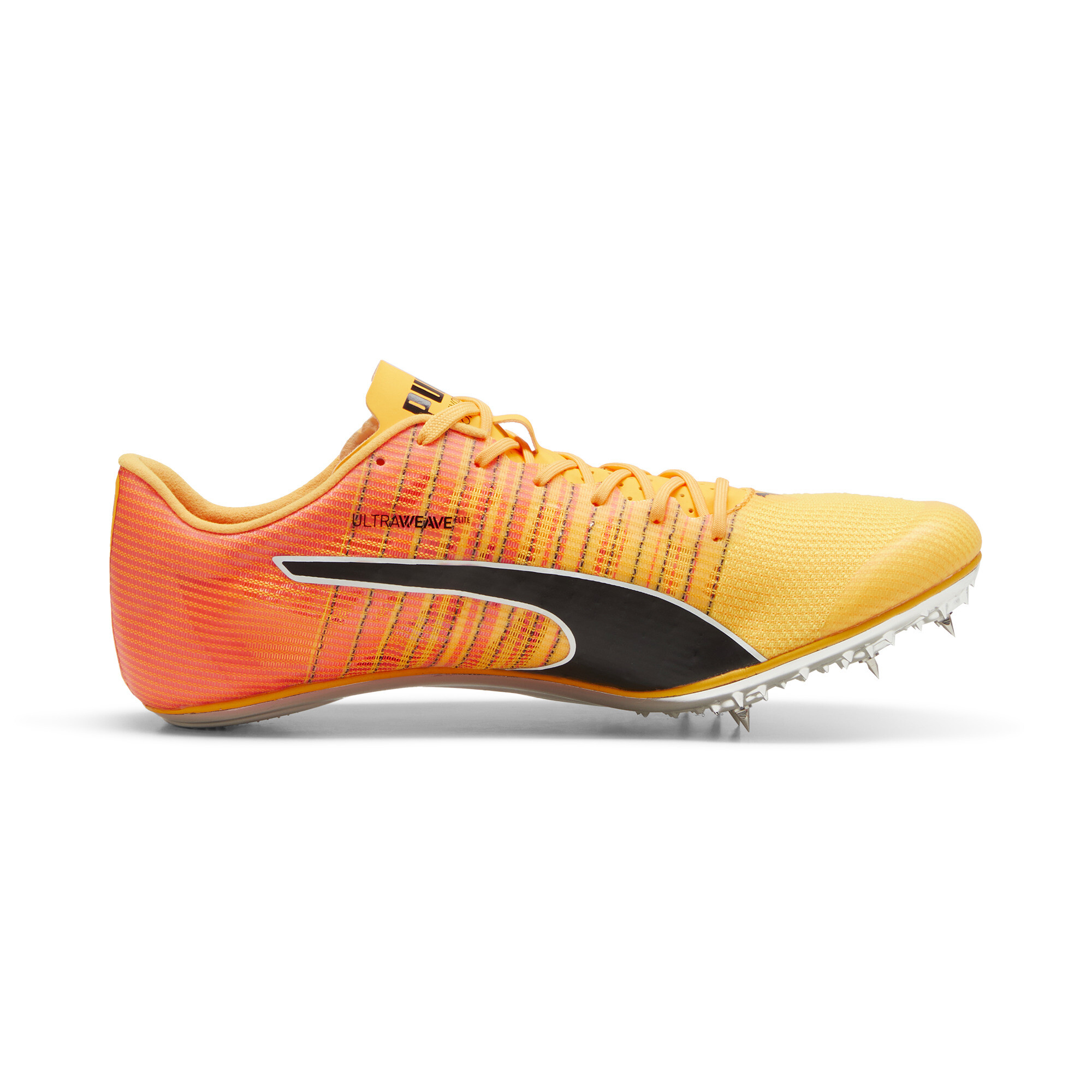 Chaussures D'athlétisme EvoSPEED BRUSH 6