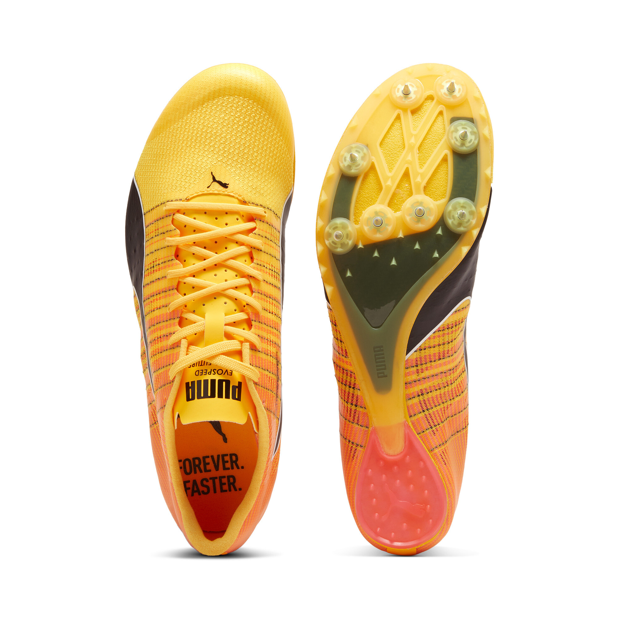 Chaussures D'athlétisme EvoSPEED FUTURE 6