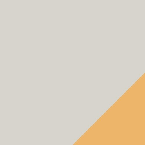 puma future rider pride