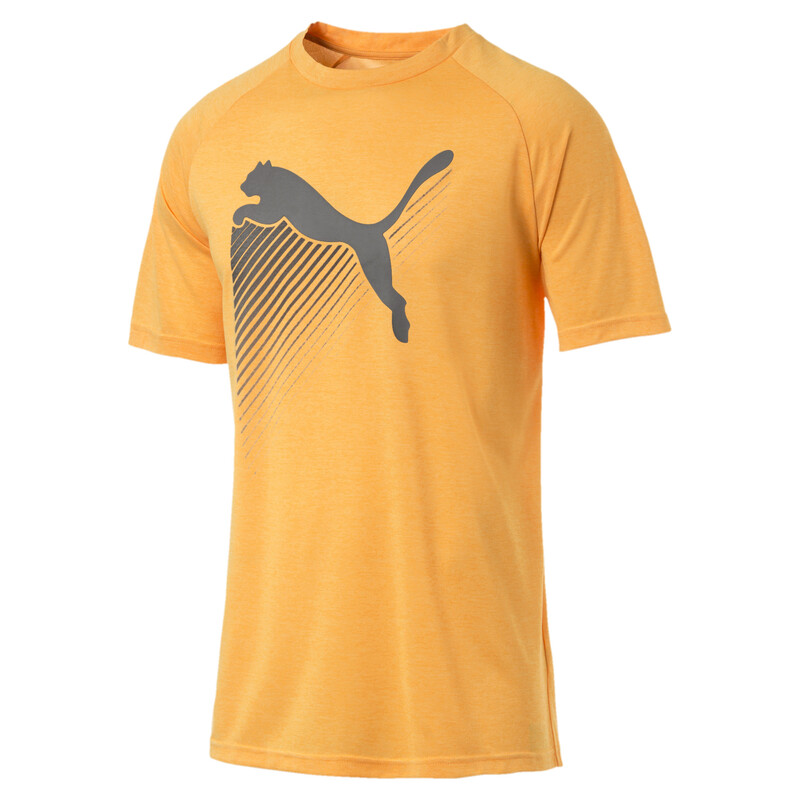 

Men's PUMA The CAT Heather Training Tee