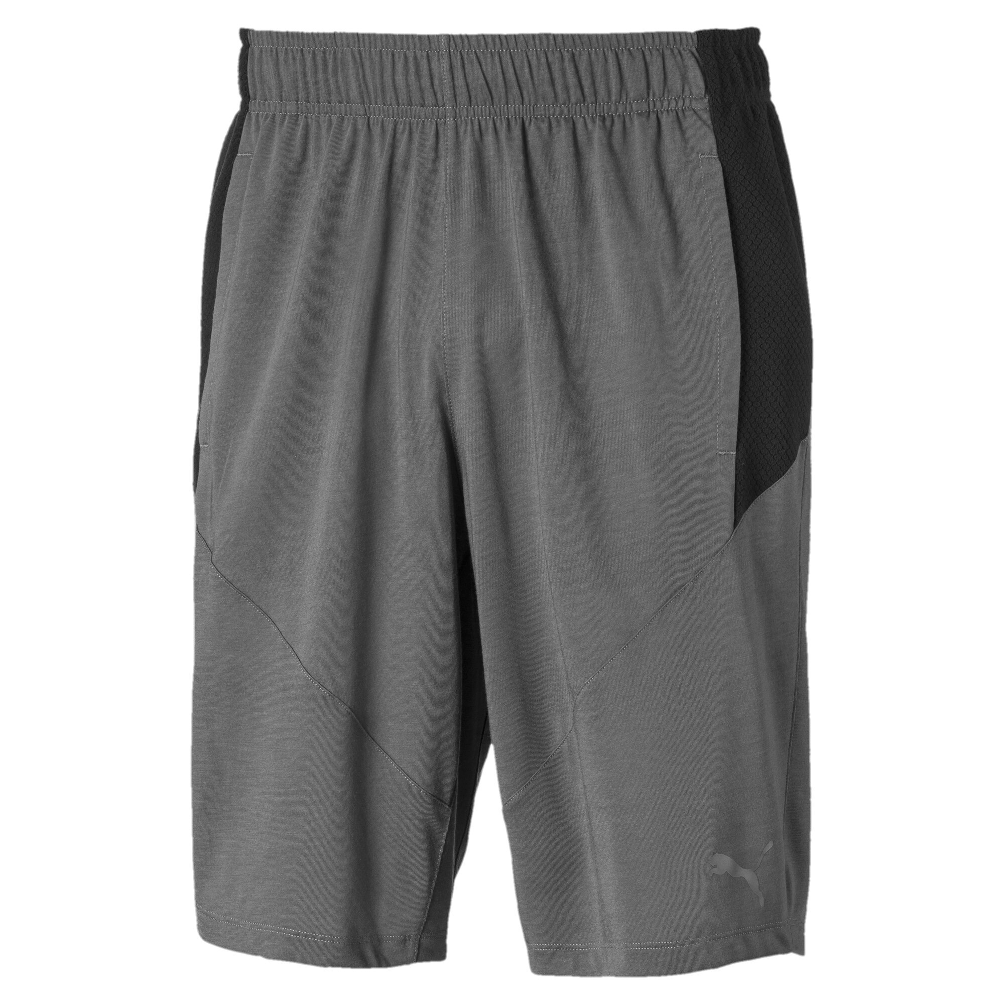 puma shorts mens
