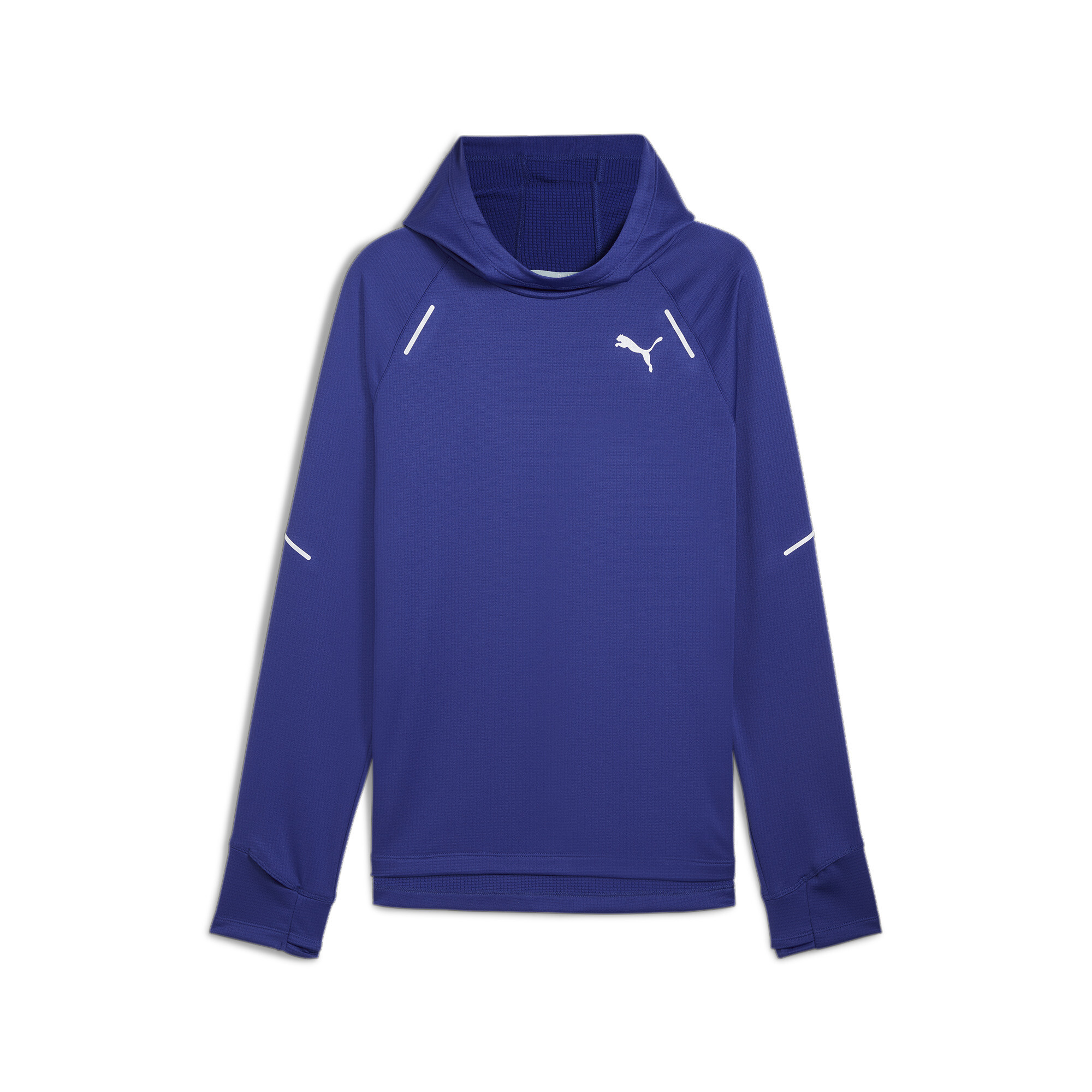 Puma RUN Grid Fleece-Hoodie Herren | Lapis Lazuli | Größe: L