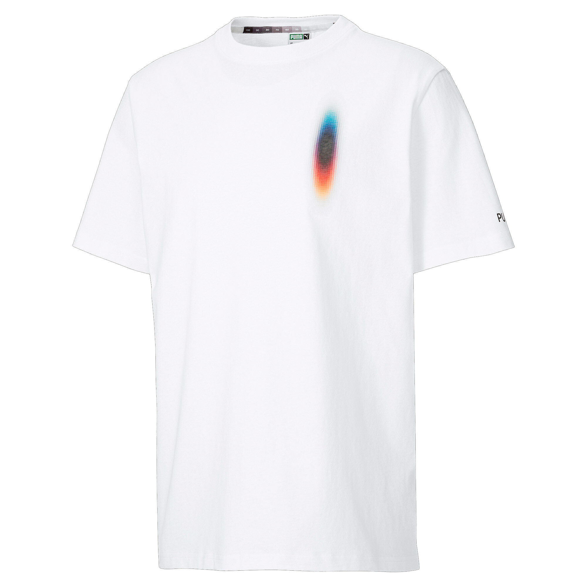 【プーマ公式通販】 プーマ PUMA x FELIPE PANTONE Tシャツ メンズ Puma White-White ｜PUMA.com