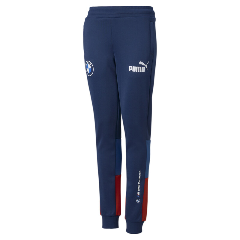 

PUMA BMW M Motorsport Unisex Speed Driver Series Track Pants