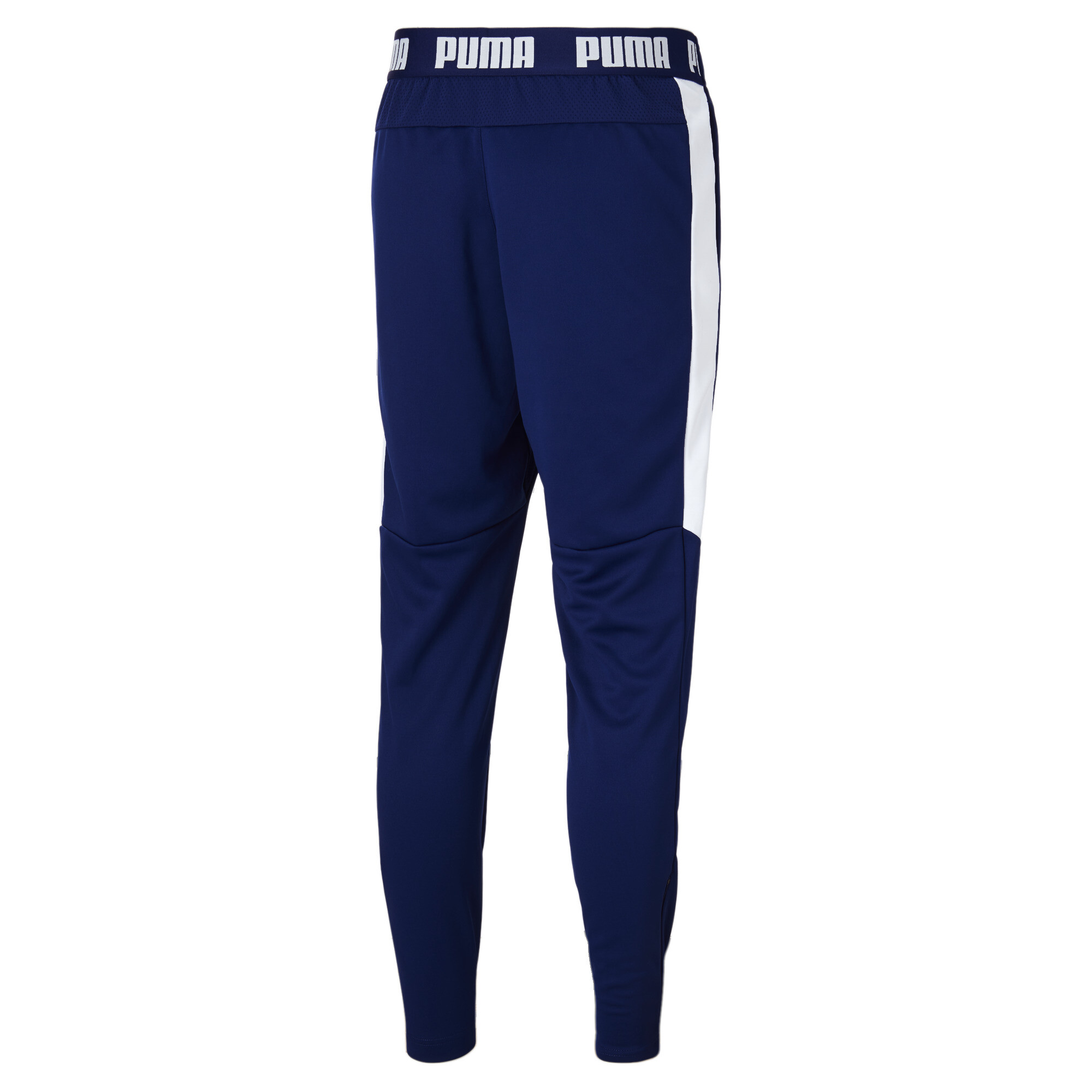 puma speed pants