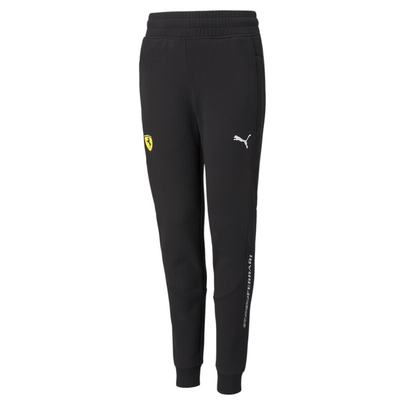 Puma ferrari lower outlet
