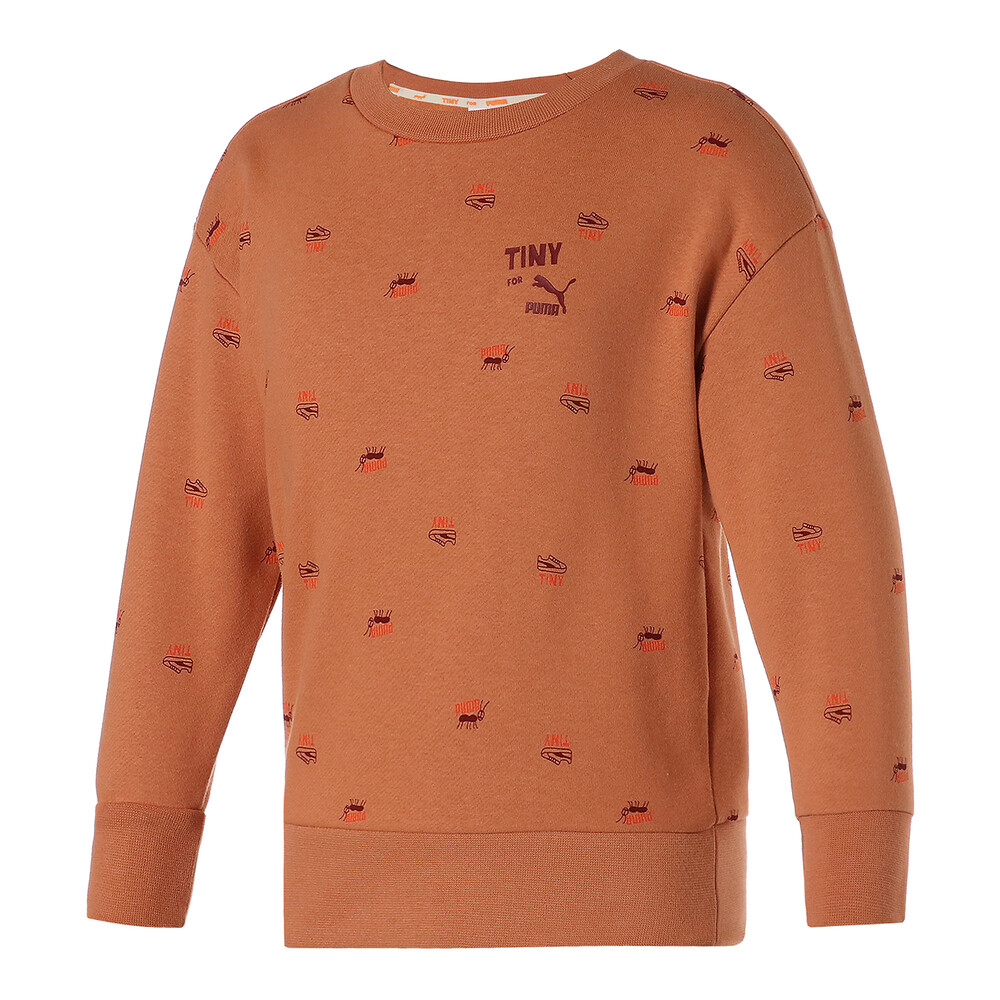 фото Детская толстовка puma x tinycottons printed crew neck kids' sweatshirt