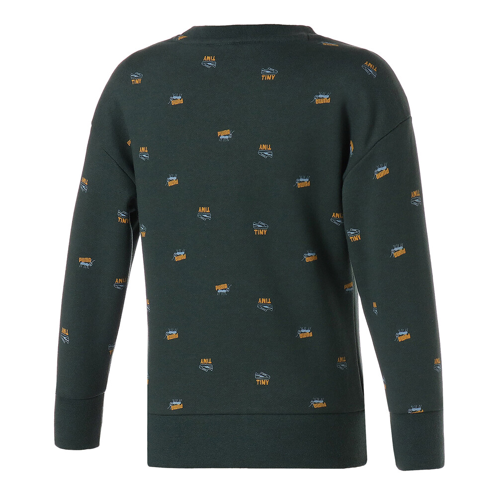 фото Детская толстовка puma x tinycottons printed crew neck kids' sweatshirt