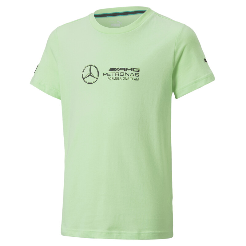 

PUMA Mercedes AMG Petronas Motorsport F1 Logo Youth Regular Fit T-Shirt