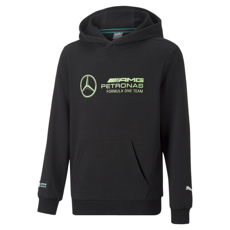 

PUMA Mercedes AMG Petronas F1 Logo Youth Regular Fit Hoodie