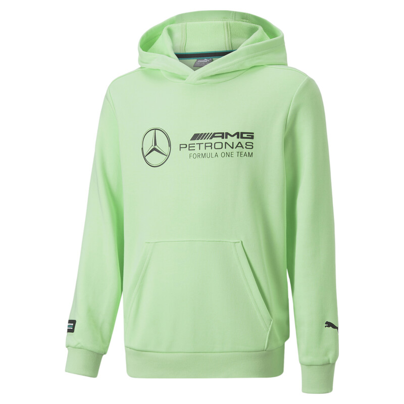 

PUMA Mercedes AMG Petronas F1 Logo Youth Regular Fit Hoodie