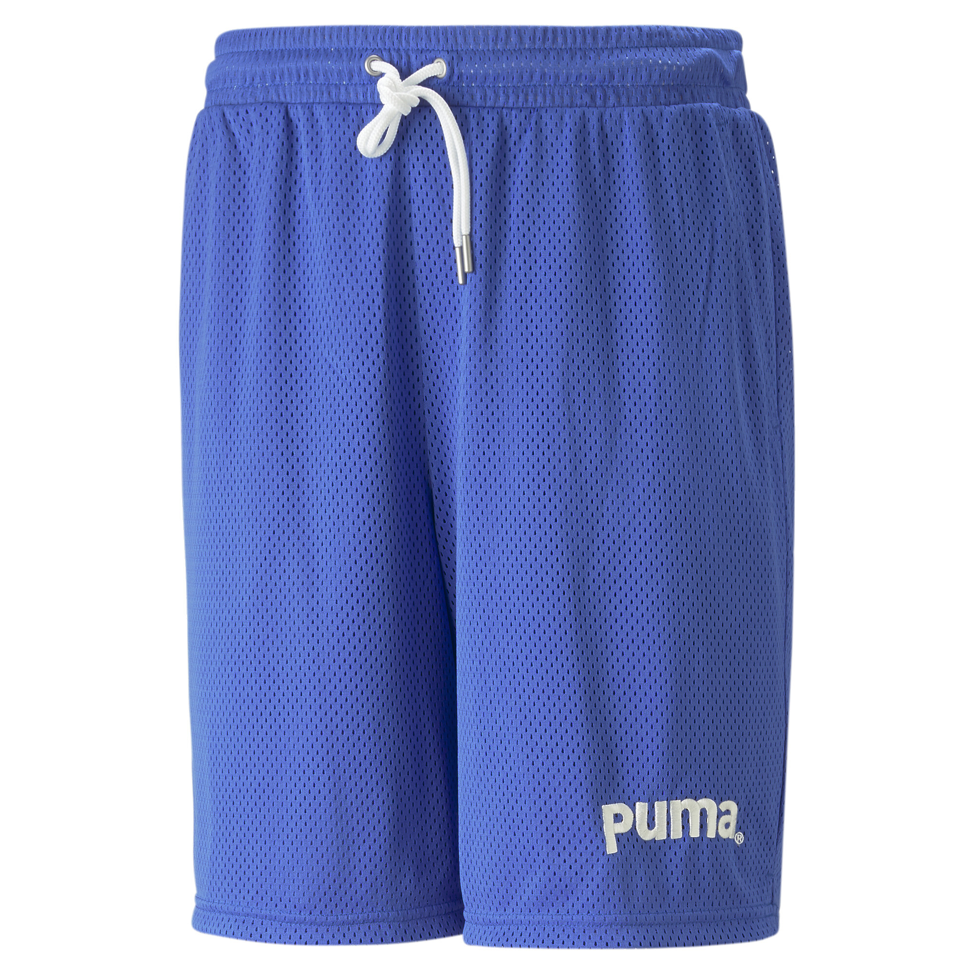 Men's Puma Team 8 Mesh Shorts, Blue, Size XL, Clothing