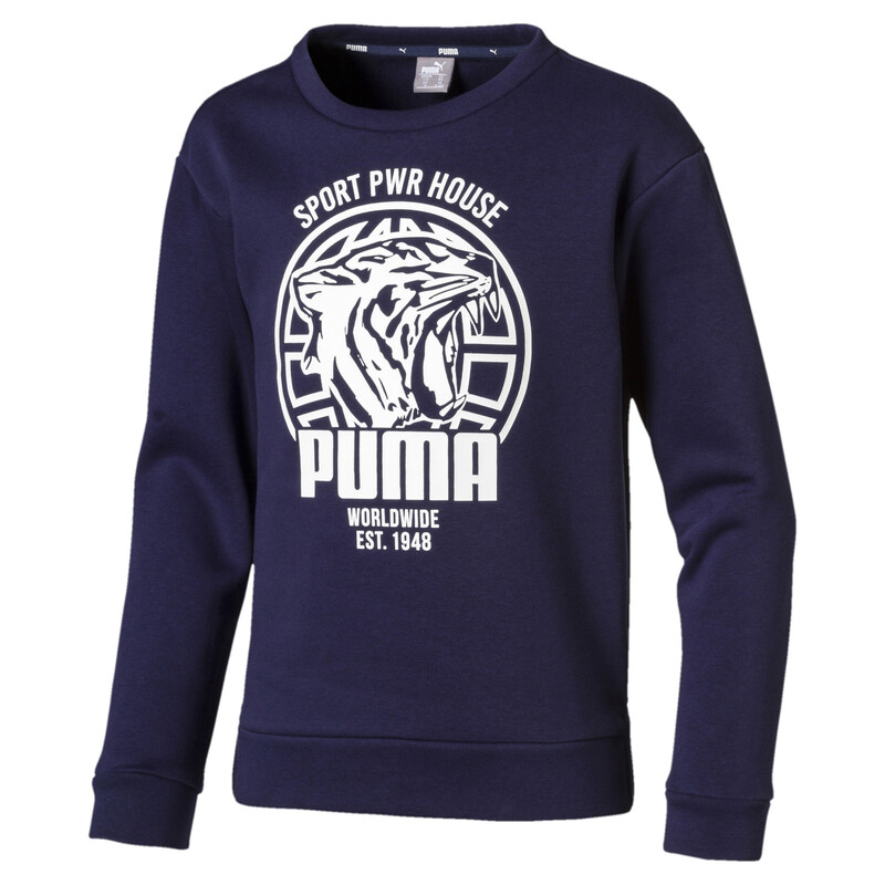 

PUMA Boys' Alpha Graphic Crew, Purple