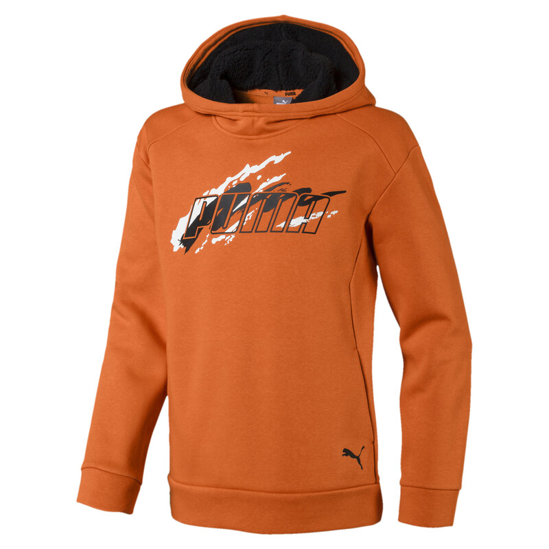 

PUMA Alpha Boys' Hoodie
