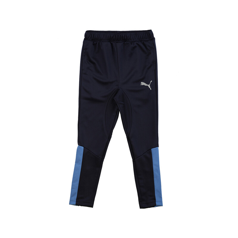 

PUMA Active Sports Poly Pants
