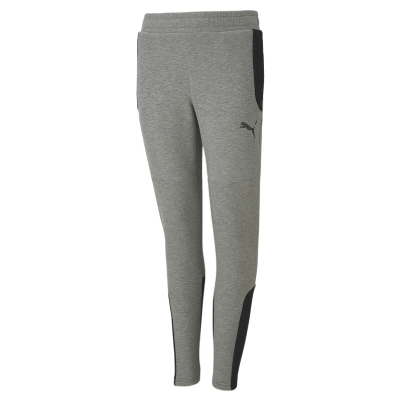 PUMA Evostripe Pants, Gray