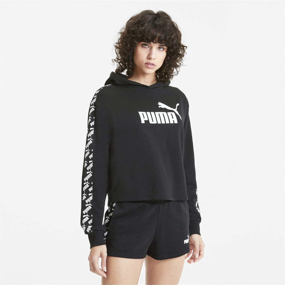cropped puma