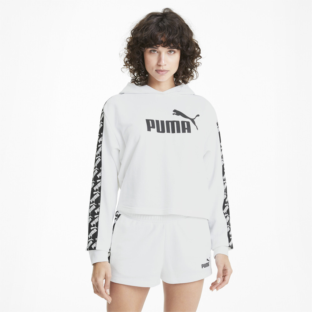 cropped puma