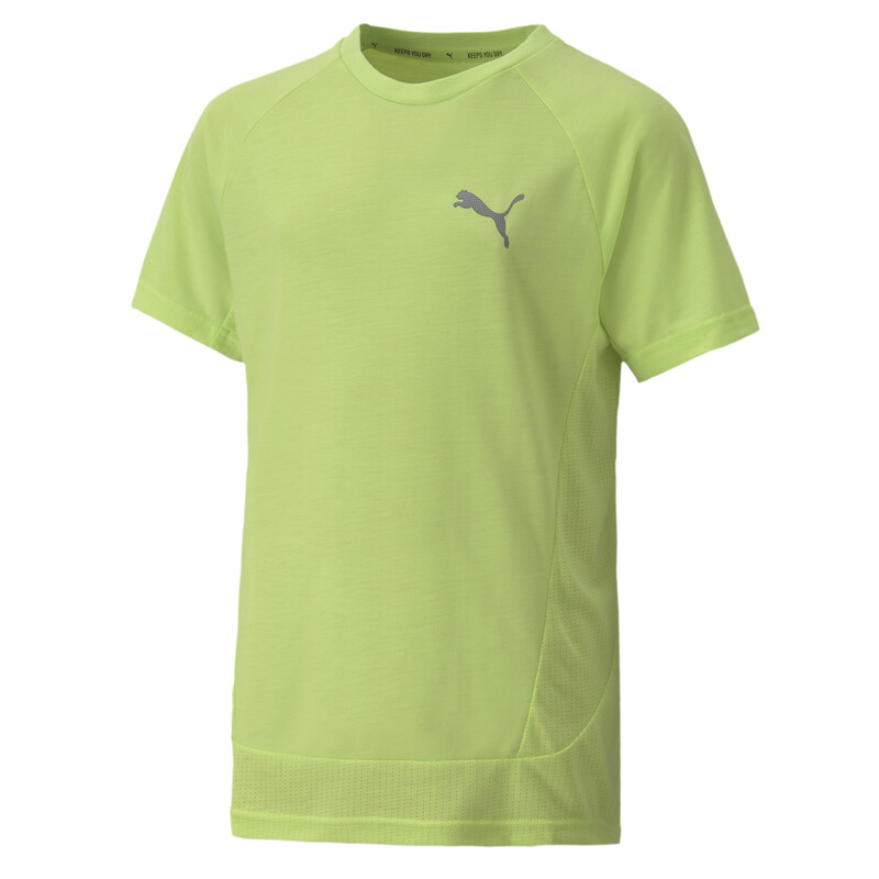 

PUMA Evostripe dryCELL Kid's T-Shirt, Gray/green