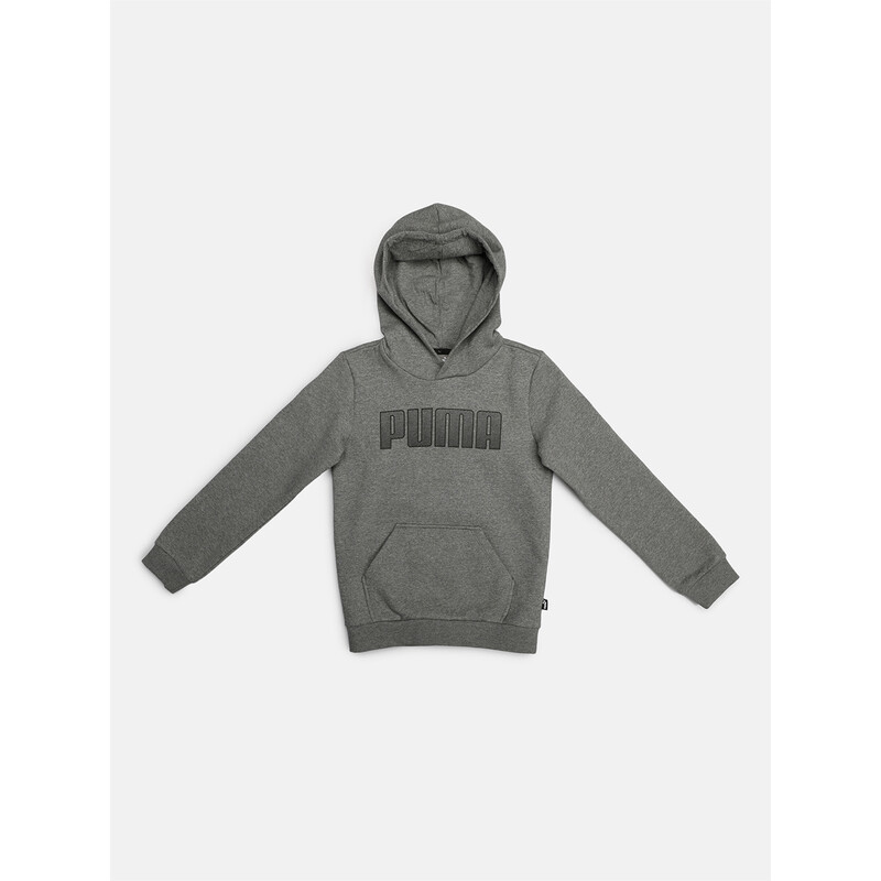 

PUMA KA Logo Boy's Hoodie, Gray