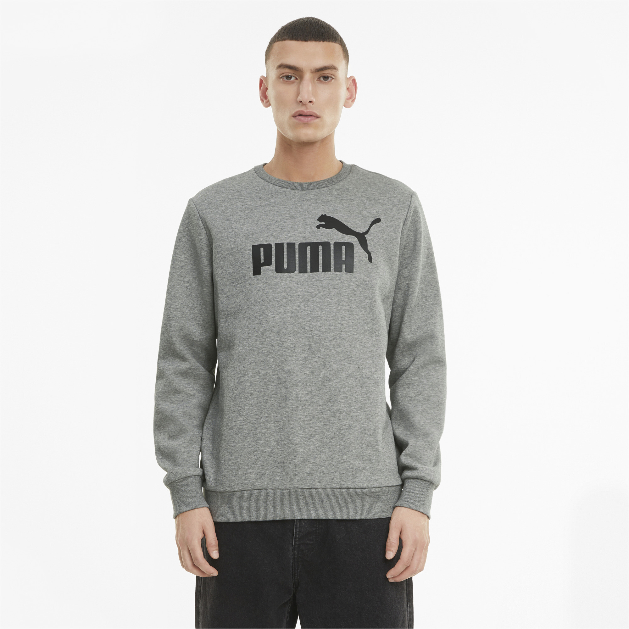 Men's Puma Essentials Big Logo Crew Neck Sweater Sweatshirt, Gray Sweatshirt, Size XL Sweatshirt, Lifestyle