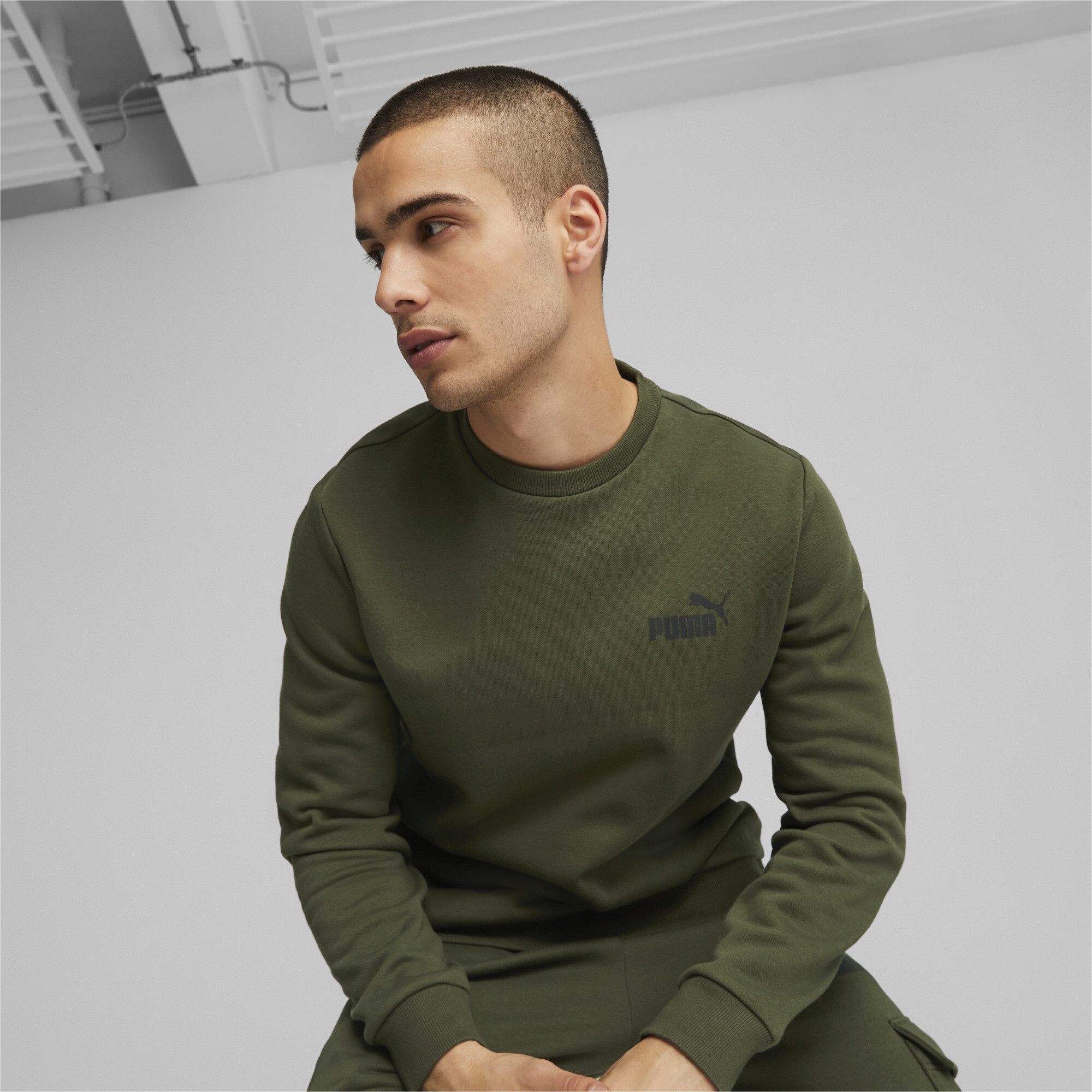 Men's Puma Essentials Small Logo Crew Neck's Sweatshirt, Green, Size S, Clothing