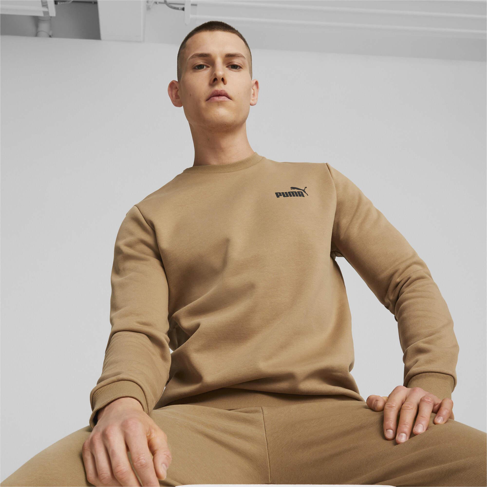 Men's Puma Essentials Small Logo Crew Neck's Sweatshirt, Beige, Size M, Clothing