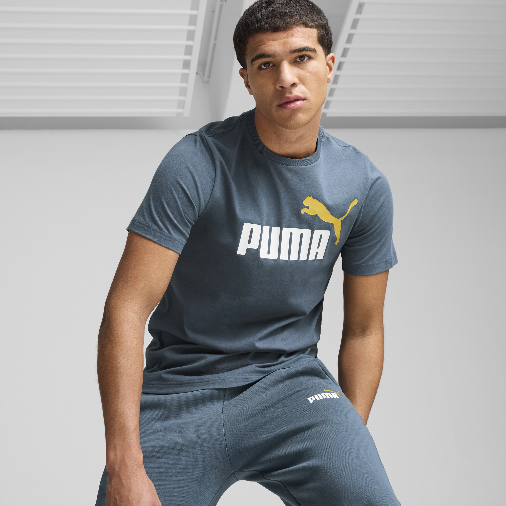 Men's Puma Essentials+ 2 Colour Logo T-Shirt, Gray, Size XS, Clothing