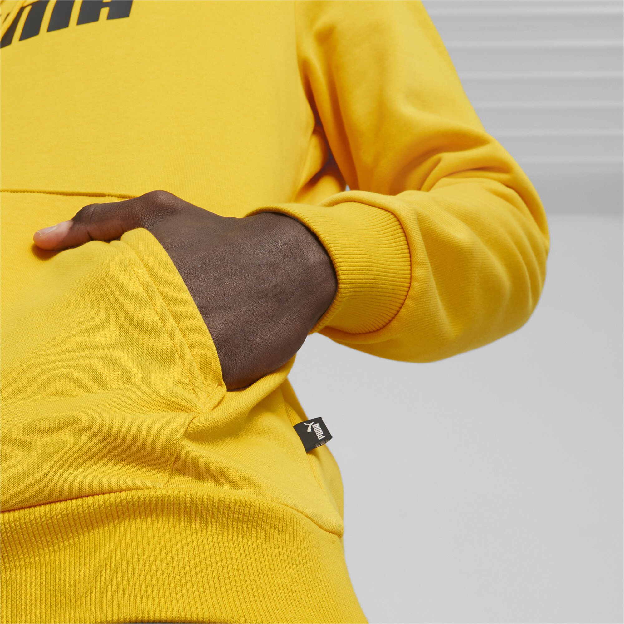 PUMA Men\'s Essentials+ eBay Logo Two-Tone | Hoodie Big