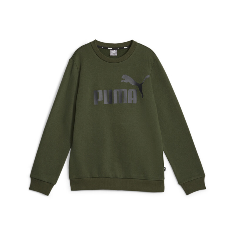 

PUMA Big Logo Boy's Crew-Neck Sweat Shirt, Myrtle