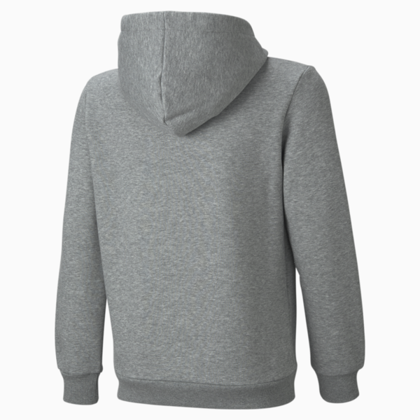 Essentials Big Logo Youth Hoodie, Medium Gray Heather, large-MEX