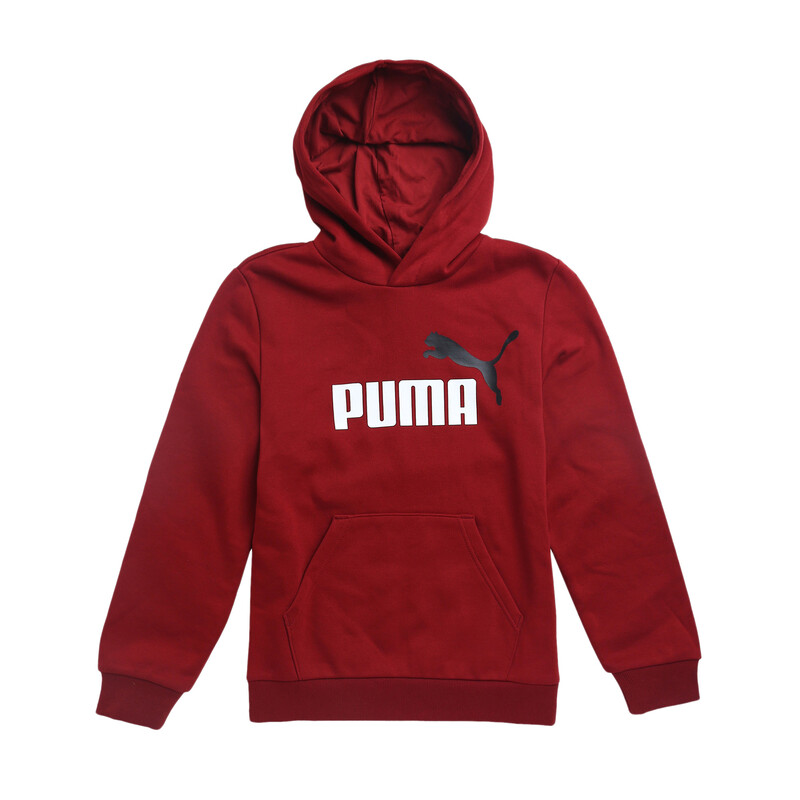 

PUMA Essential+ 2 Colour Big Logo Boy's Hoodie