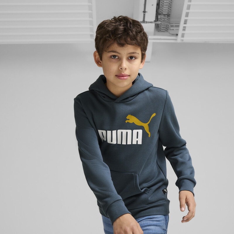 

PUMA Essential+ 2 Colour Big Logo Boy's Hoodie