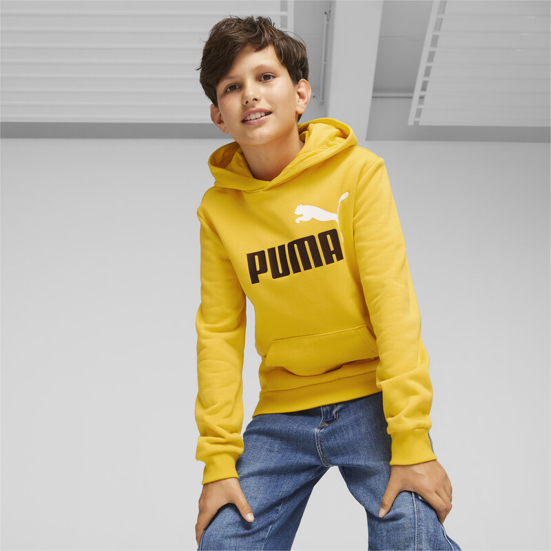 

PUMA Essential+ 2 Colour Big Logo Boy's Hoodie