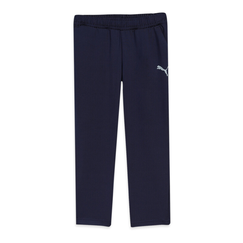 

PUMA Cricket Teams Youth Pants
