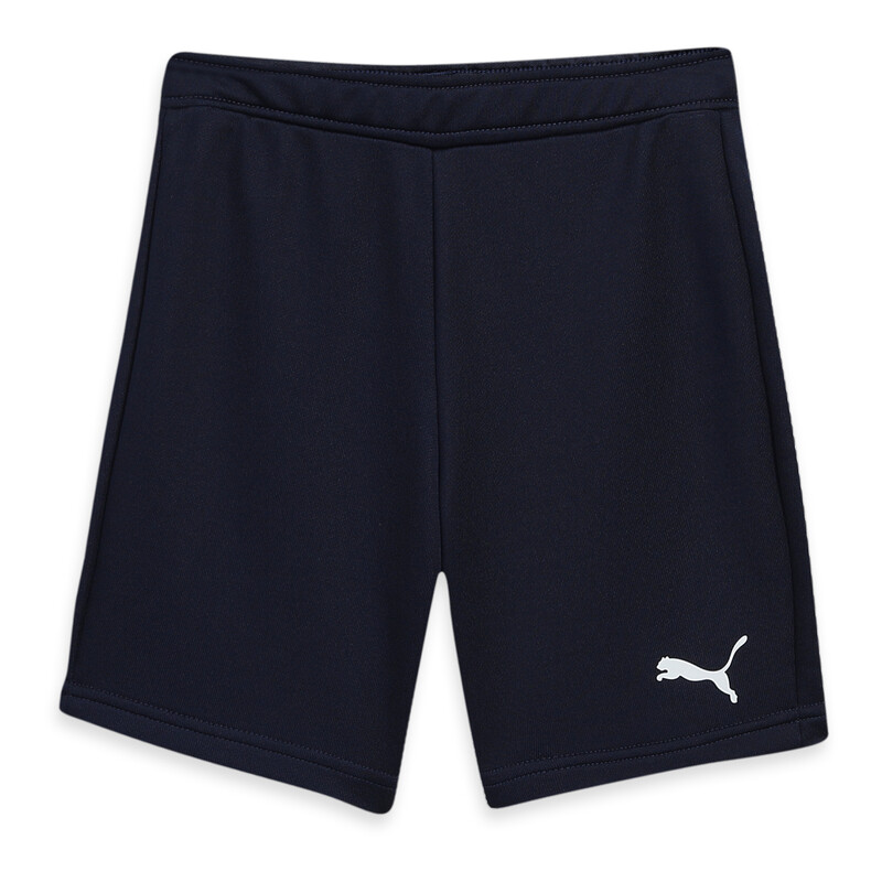 

PUMA Cricket Youth Shorts
