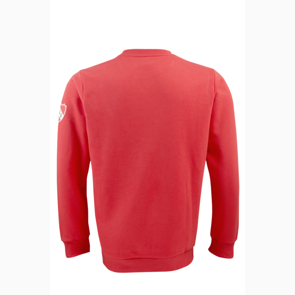 Buzo CAI Ftblicons, PUMA Red, large-ARG