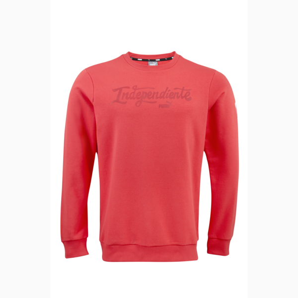 Buzo CAI Ftblicons, PUMA Red, large-ARG