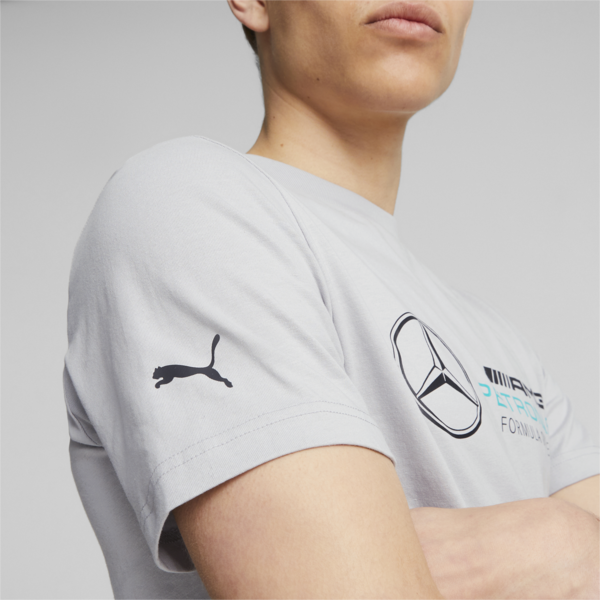 Mercedes-AMG PETRONAS Men's Motorsport Tee, Mercedes Team Silver, large-ZAF