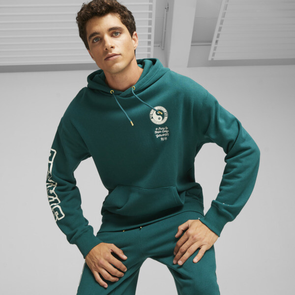 Puma hoodies for men clearance