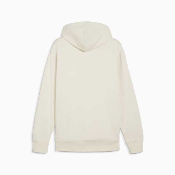 PUMA TEAM Men's Hoodie, Alpine Snow, large-ZAF