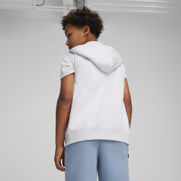 PUMA X PLAYSTATION Hoodie, Silver Mist, large-MEX
